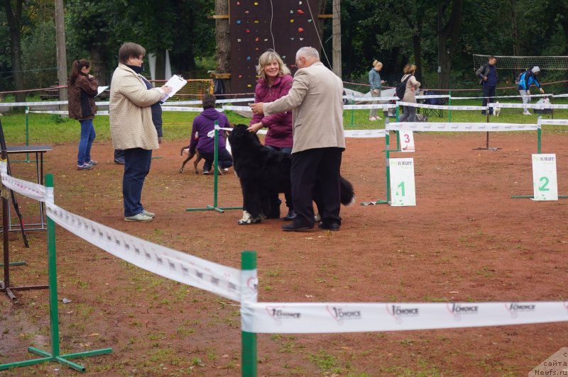 Фотография № 229975