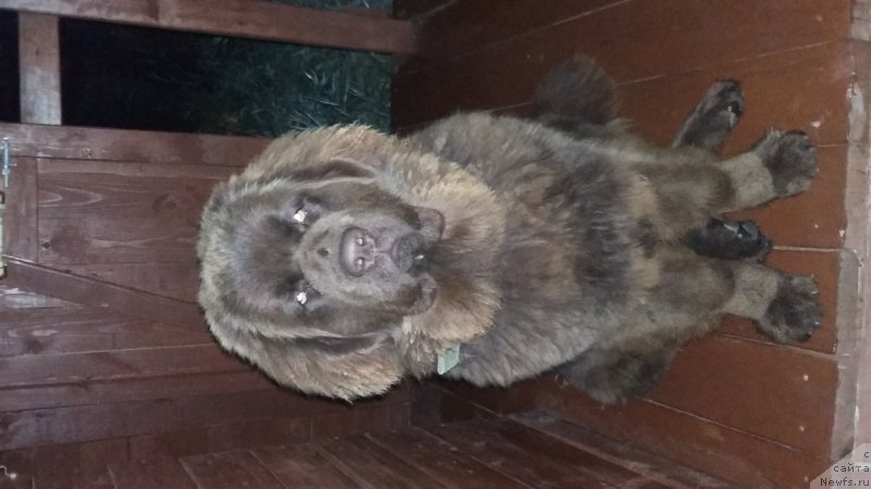 Фото: Оксана Рыжих