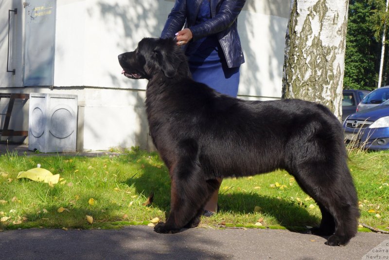 Фотография № 230022