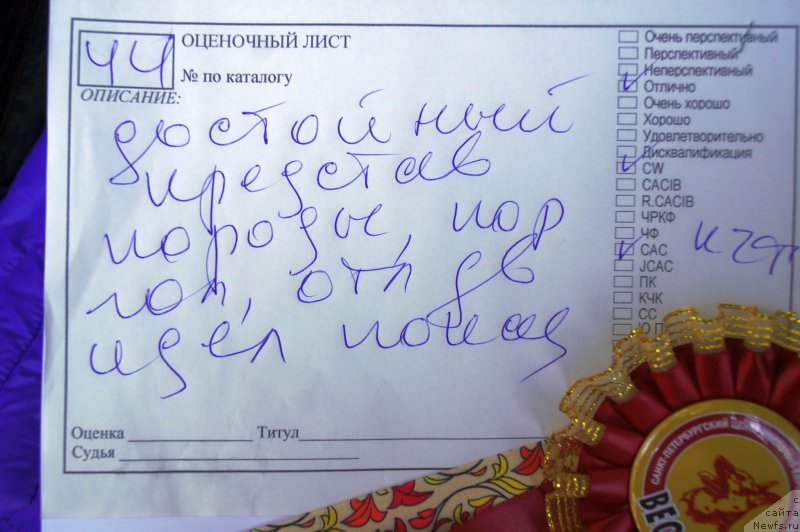 Фотография № 230031