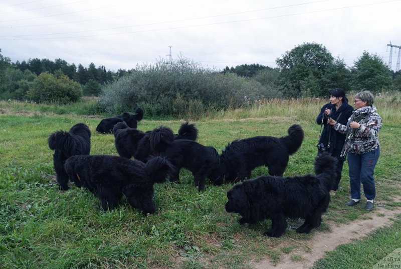 Фотография № 230032