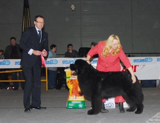 Фотография № 23005