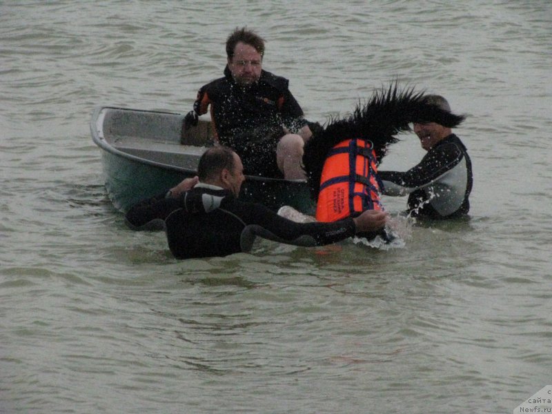 Фотография № 230050