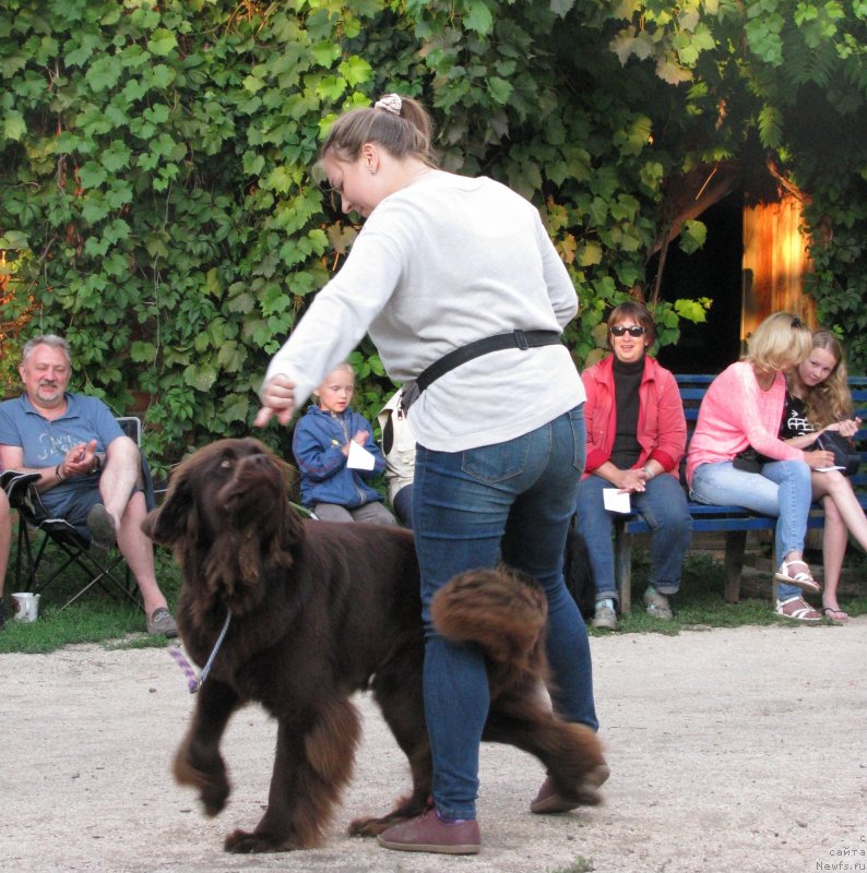 Фотография № 230056