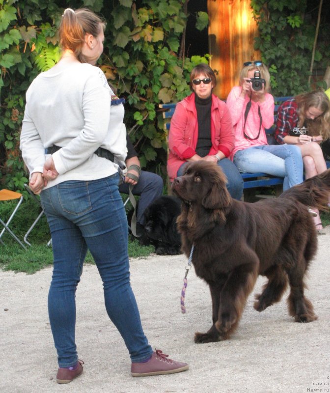 Фотография № 230057