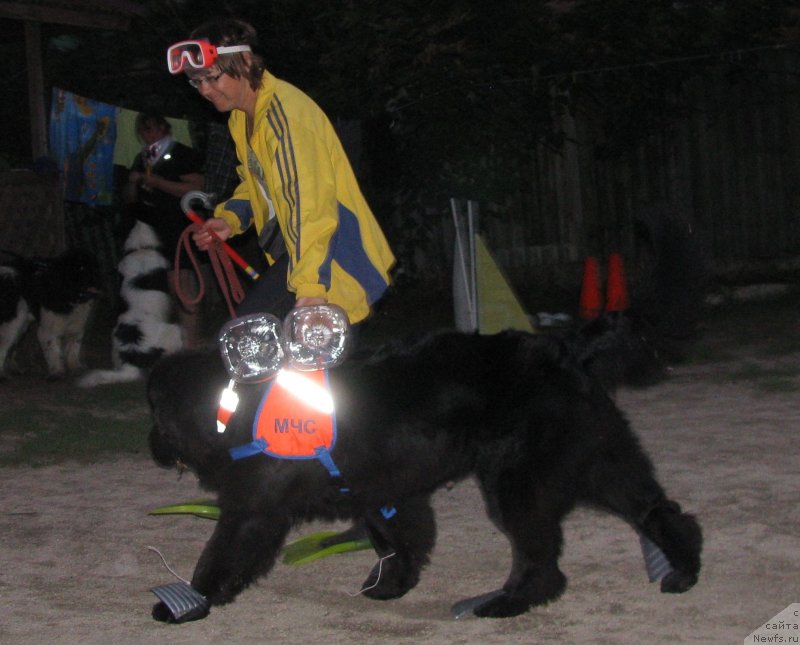 Фотография № 230058