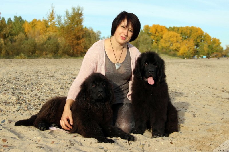 Фотография № 230076