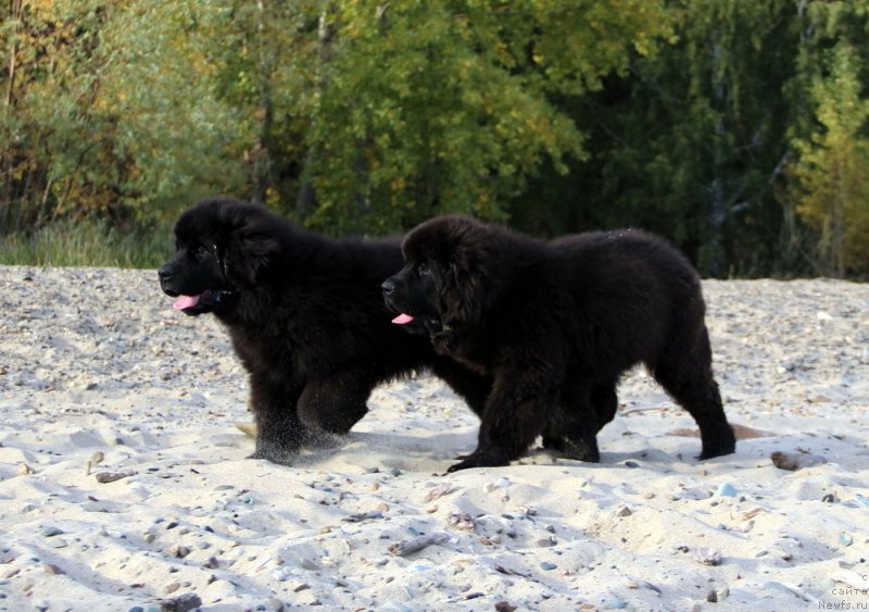 Фотография № 230077