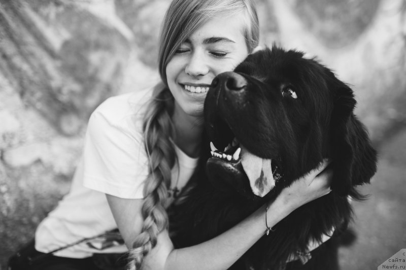 Фото: ньюфаундленд Радость Моя Вялiкi Мядзведзь