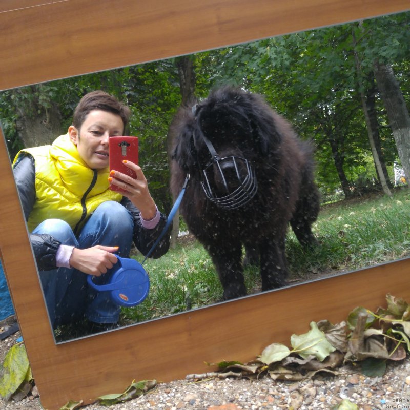 Фотография № 230094