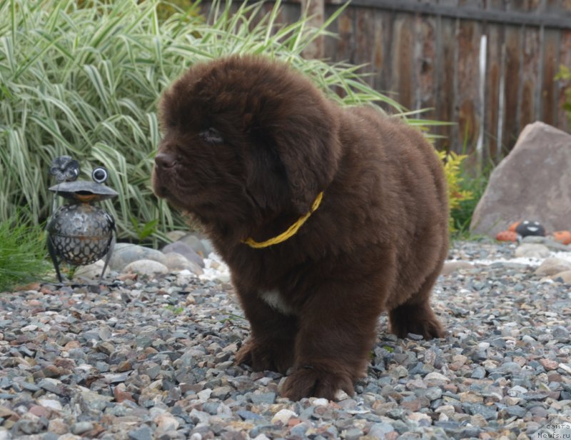 Фотография № 230096