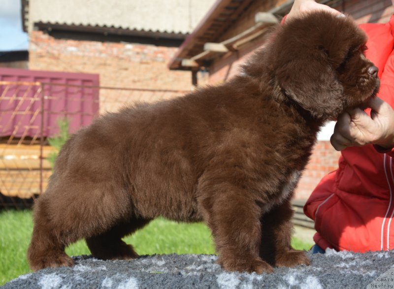 Фото: мальчик белая нитка 45 дней