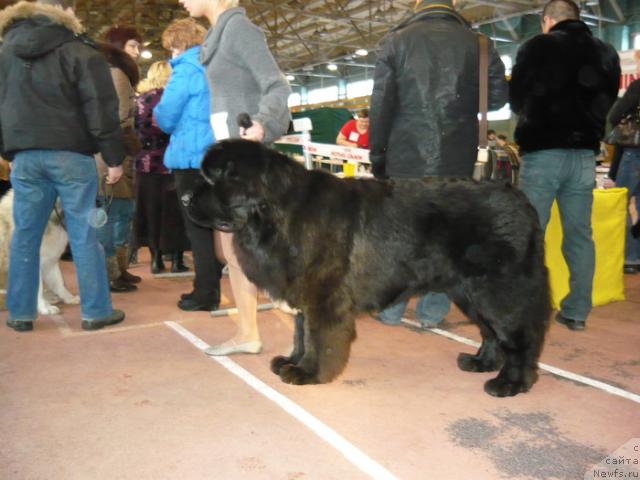 Фотография № 23011