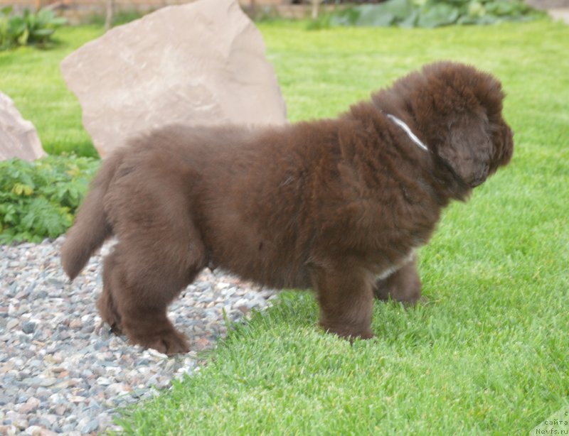 Фотография № 230117