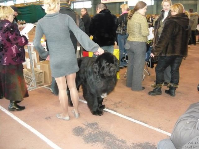 Фотография № 23012