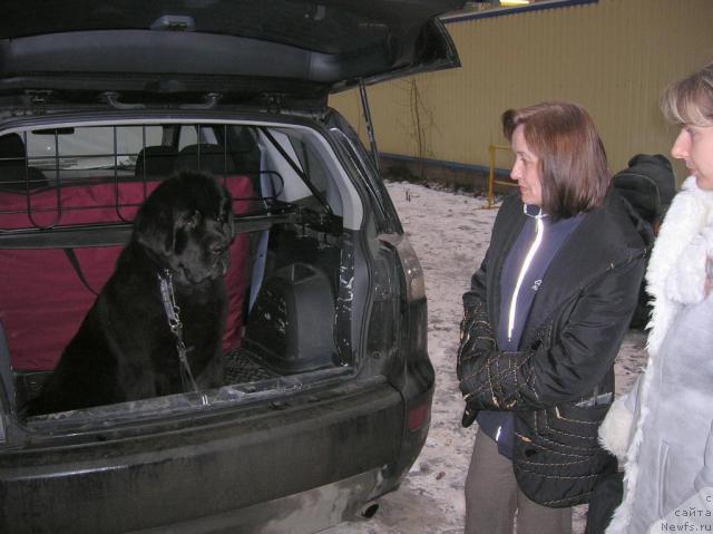 Фотография № 23013