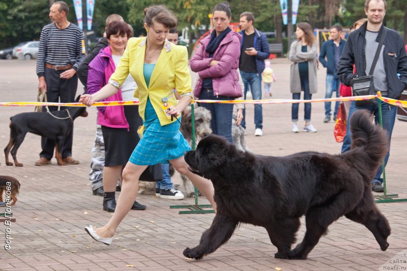 Фотография № 230140