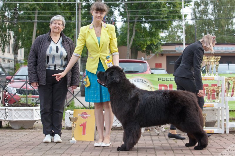 Фотография № 230141