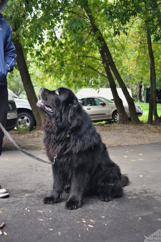 Фотография № 230148