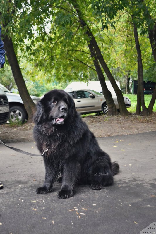 Фотография № 230149