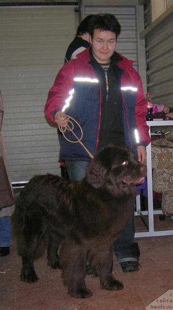 Фотография № 23016