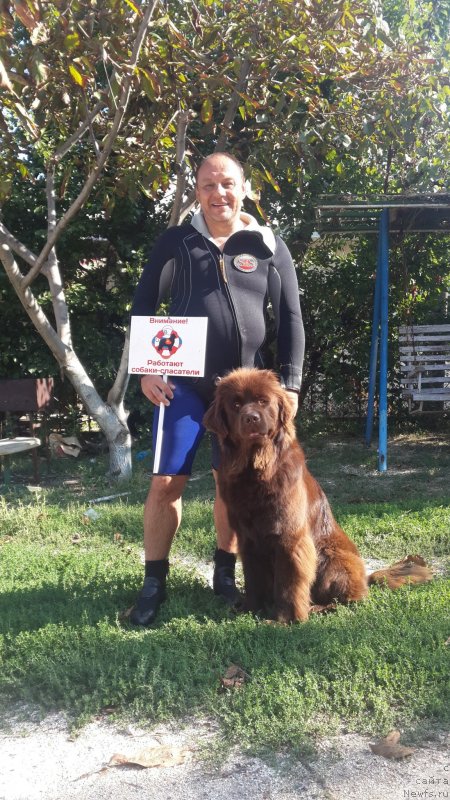 Фотография № 230181