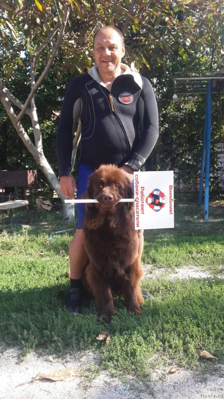 Фотография № 230182