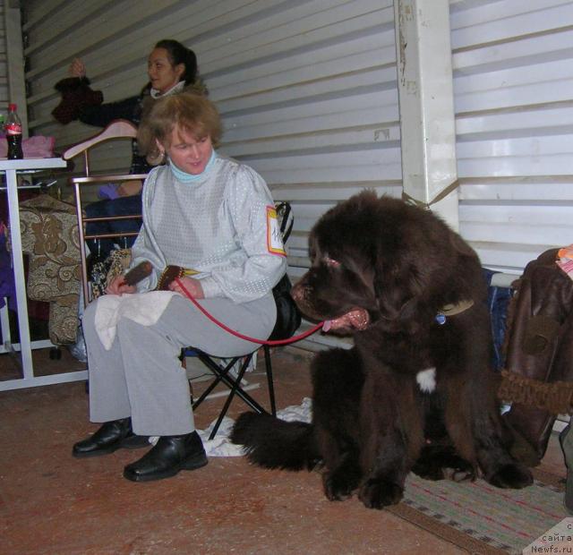 Фотография № 23019