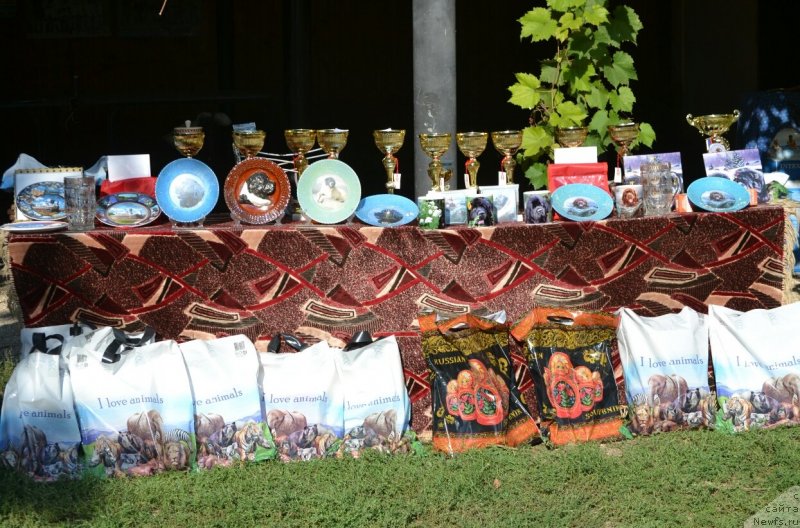 Фотография № 230254