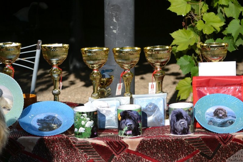 Фотография № 230255