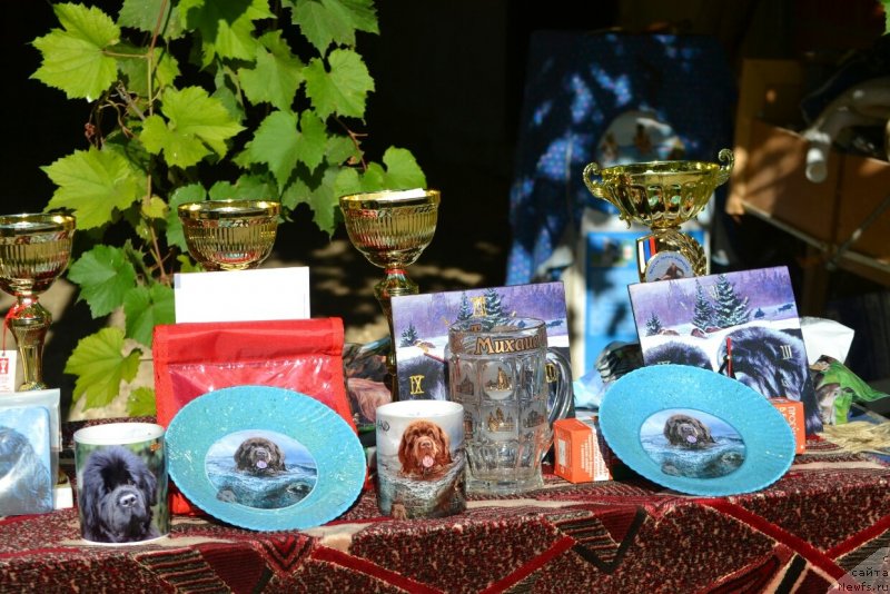 Фотография № 230260