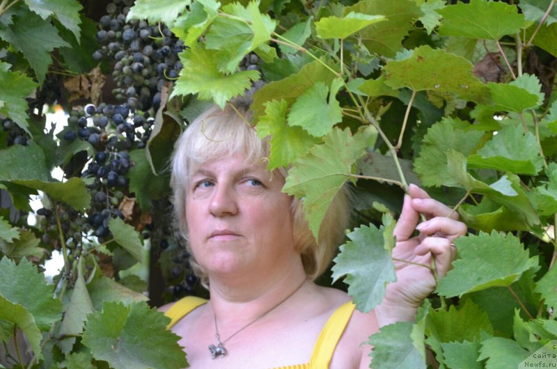 Фотография № 230262