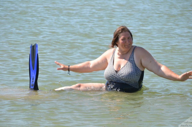 Фотография № 230265