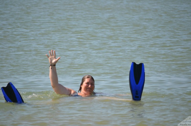 Фотография № 230267