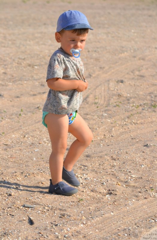 Фотография № 230270