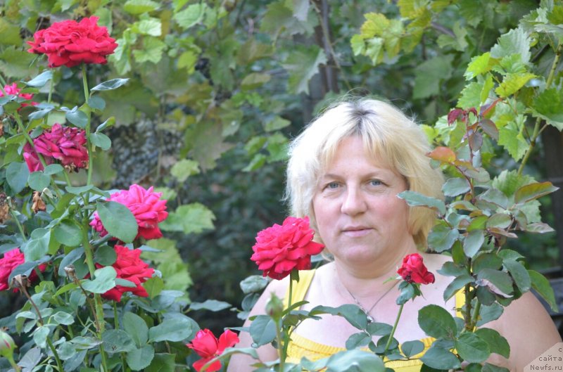 Фотография № 230271