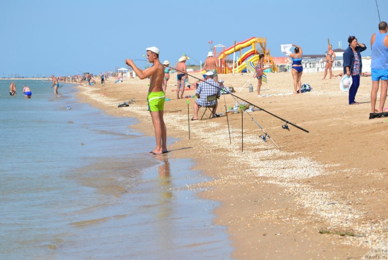 Фотография № 230272