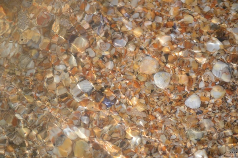 Фотография № 230273