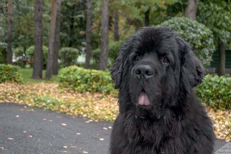 Фотография № 230276