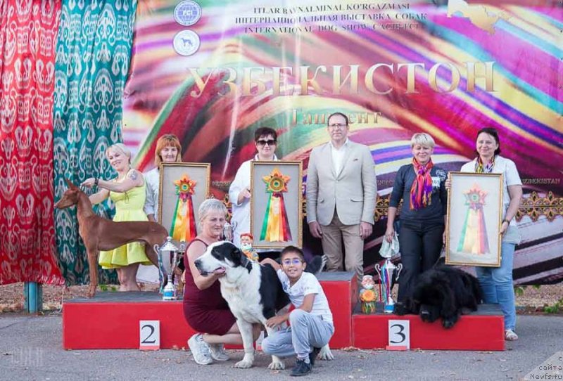 Фотография № 230281