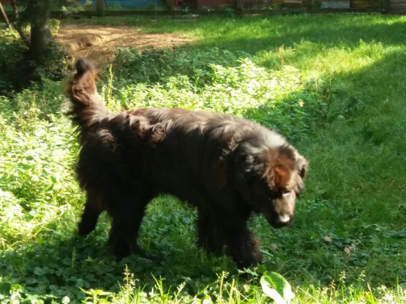 Фотография № 230283