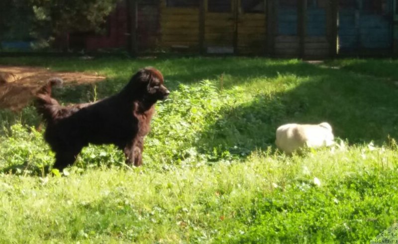 Фотография № 230284