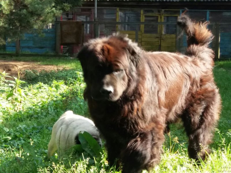 Фотография № 230285