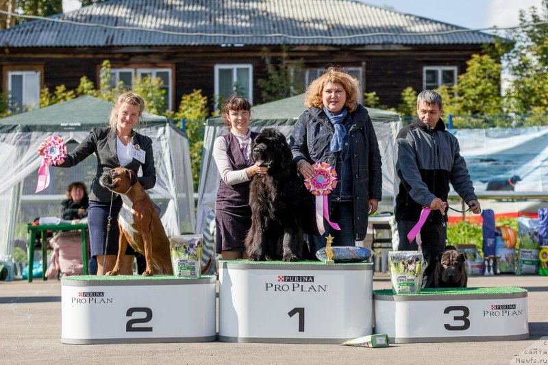 Фотография № 230288