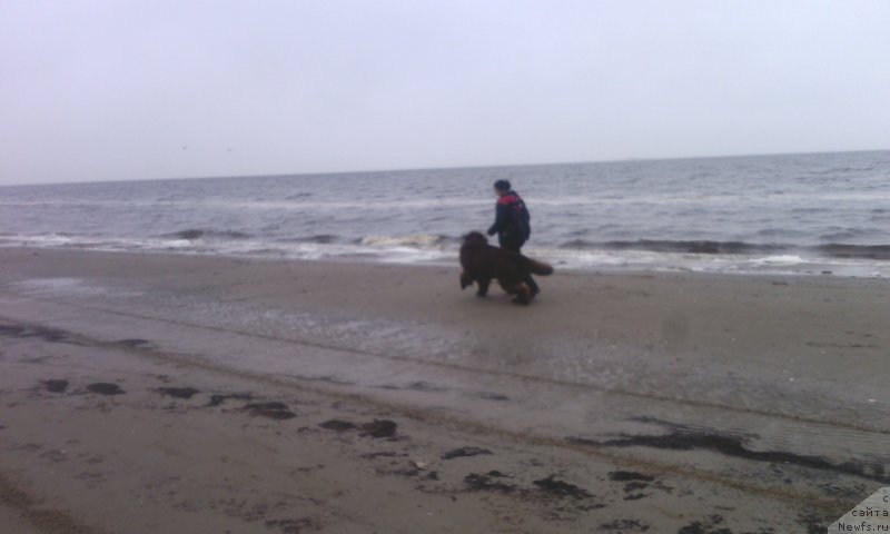 Фотография № 230291