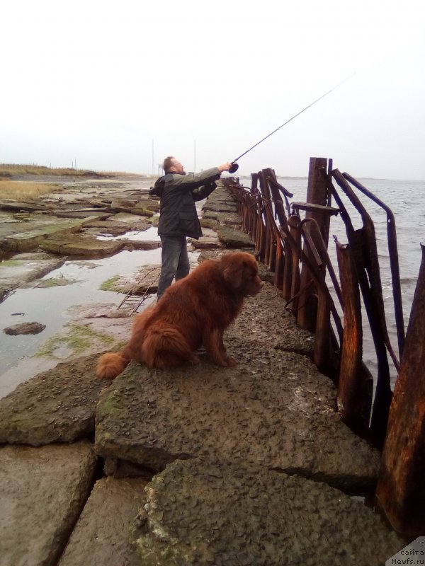 Фотография № 230292