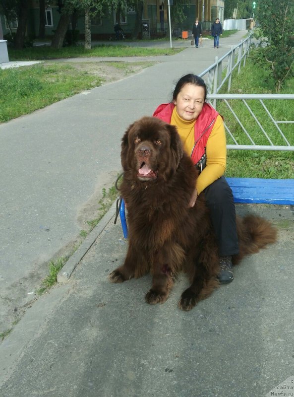 Фотография № 230294