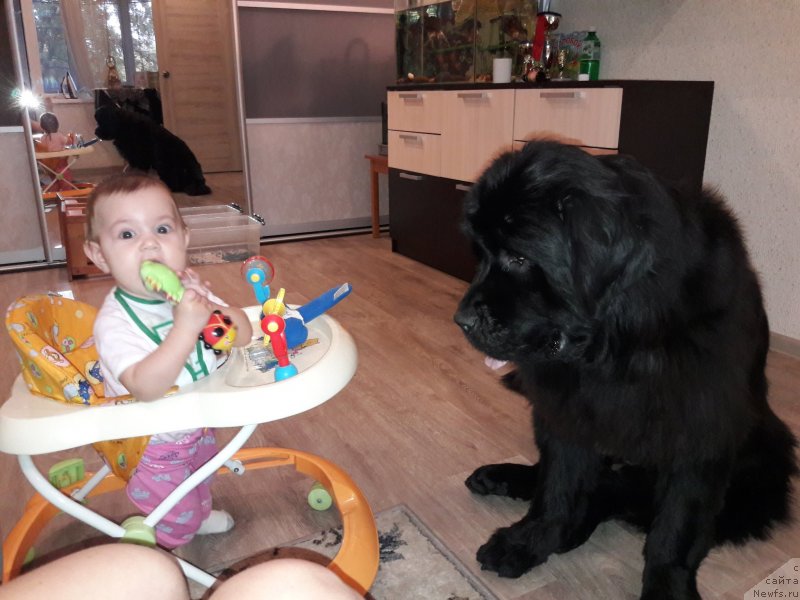 Фотография № 230333