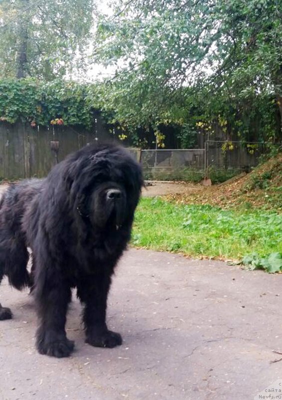 Фотография № 230334