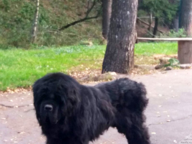 Фотография № 230335